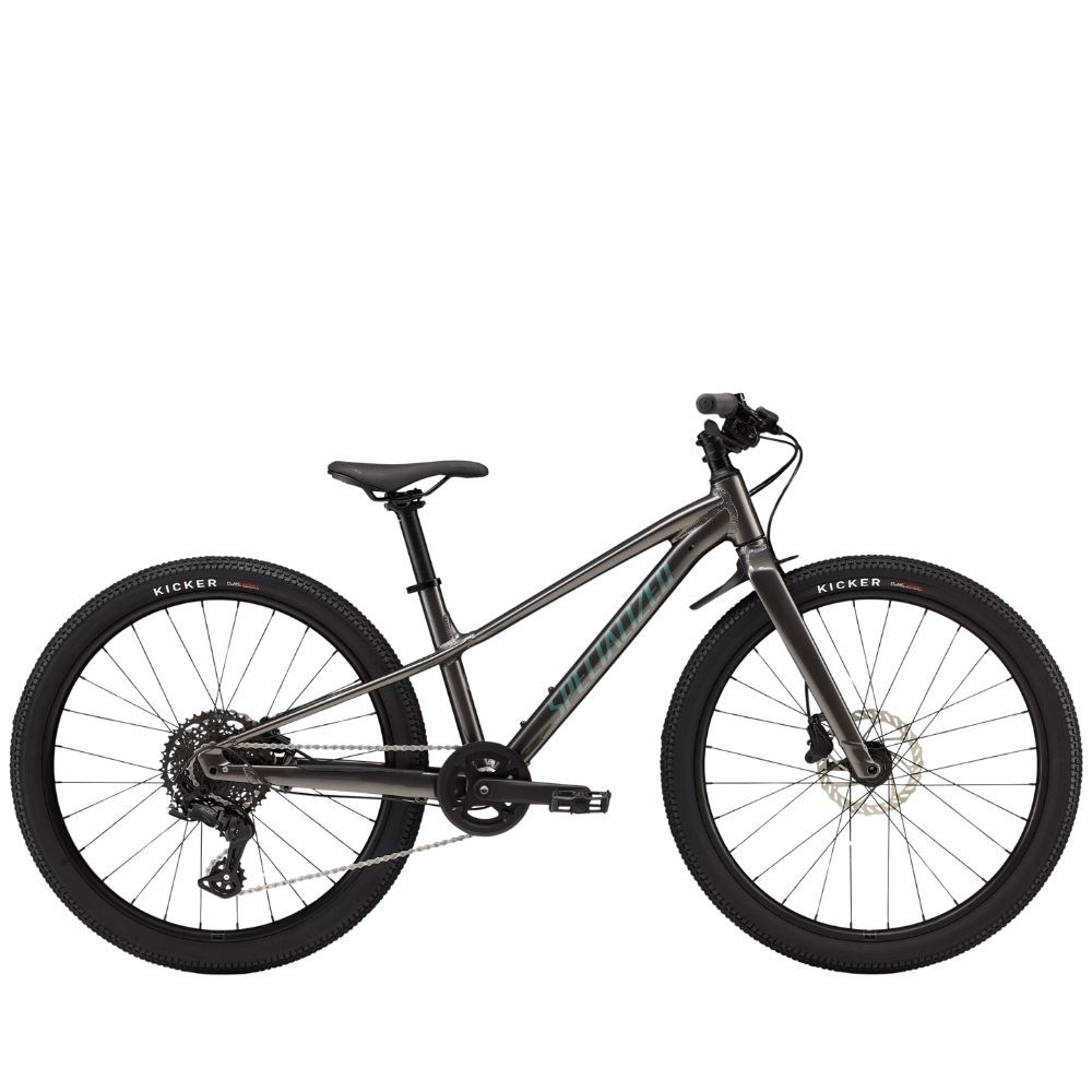 Bicicleta Specialized Riprock 24 Gloss Smoke / Fjord Metallic